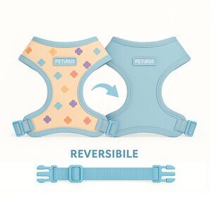 PETsRUS Premium Reversible Dog Harness Reflective Details Blue Beige Rose
